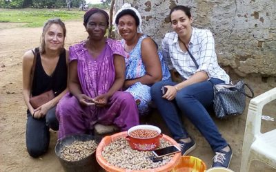 A vos machettes, prêt, partez…